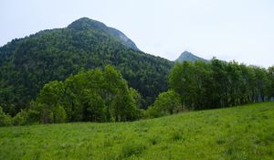 Превью обои гора, деревья, трава, поле