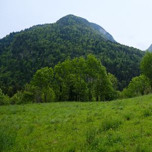 Превью обои гора, деревья, трава, поле