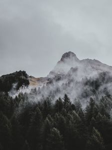 Превью обои гора, деревья, туман, вид сверху, небо, вершина