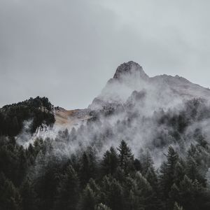 Превью обои гора, деревья, туман, вид сверху, небо, вершина