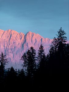 Превью обои гора, деревья, туман, сумерки, пейзаж
