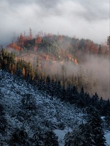 Превью обои гора, деревья, туман, облака, снег