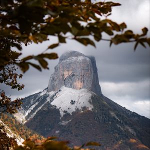 Превью обои гора, деревья, ветки, пейзаж