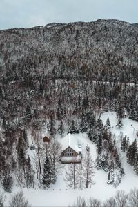 Превью обои гора, дом, вид сверху, деревья, снег, зима