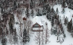 Превью обои гора, дом, вид сверху, деревья, снег, зима