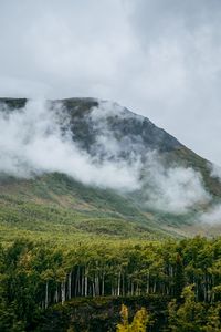 Превью обои гора, холм, облака, деревья, лес, пейзаж