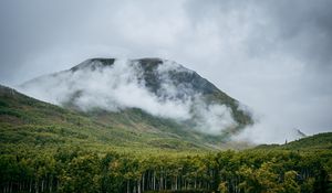 Превью обои гора, холм, облака, деревья, лес, пейзаж