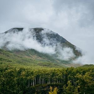 Превью обои гора, холм, облака, деревья, лес, пейзаж