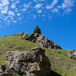 Превью обои гора, холм, склон, дерево, рельеф, трава, природа