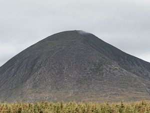 Превью обои гора, холм, вершина, деревья, сосны