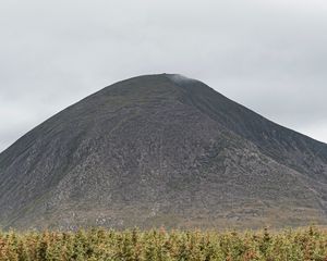 Превью обои гора, холм, вершина, деревья, сосны