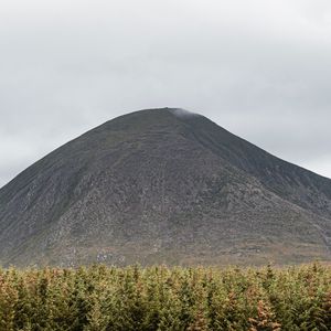 Превью обои гора, холм, вершина, деревья, сосны