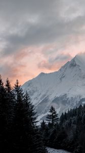 Превью обои гора, лес, деревья, вершина, облака, пейзаж