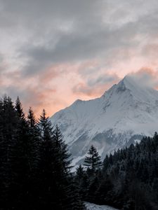 Превью обои гора, лес, деревья, вершина, облака, пейзаж