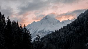 Превью обои гора, лес, деревья, вершина, облака, пейзаж