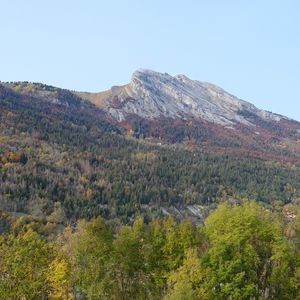 Превью обои гора, лес, деревья, пейзаж