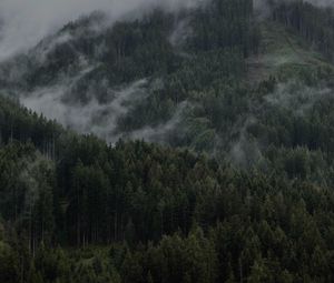 Превью обои гора, лес, облака, деревья, склон