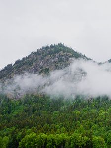 Превью обои гора, лес, облака, деревья