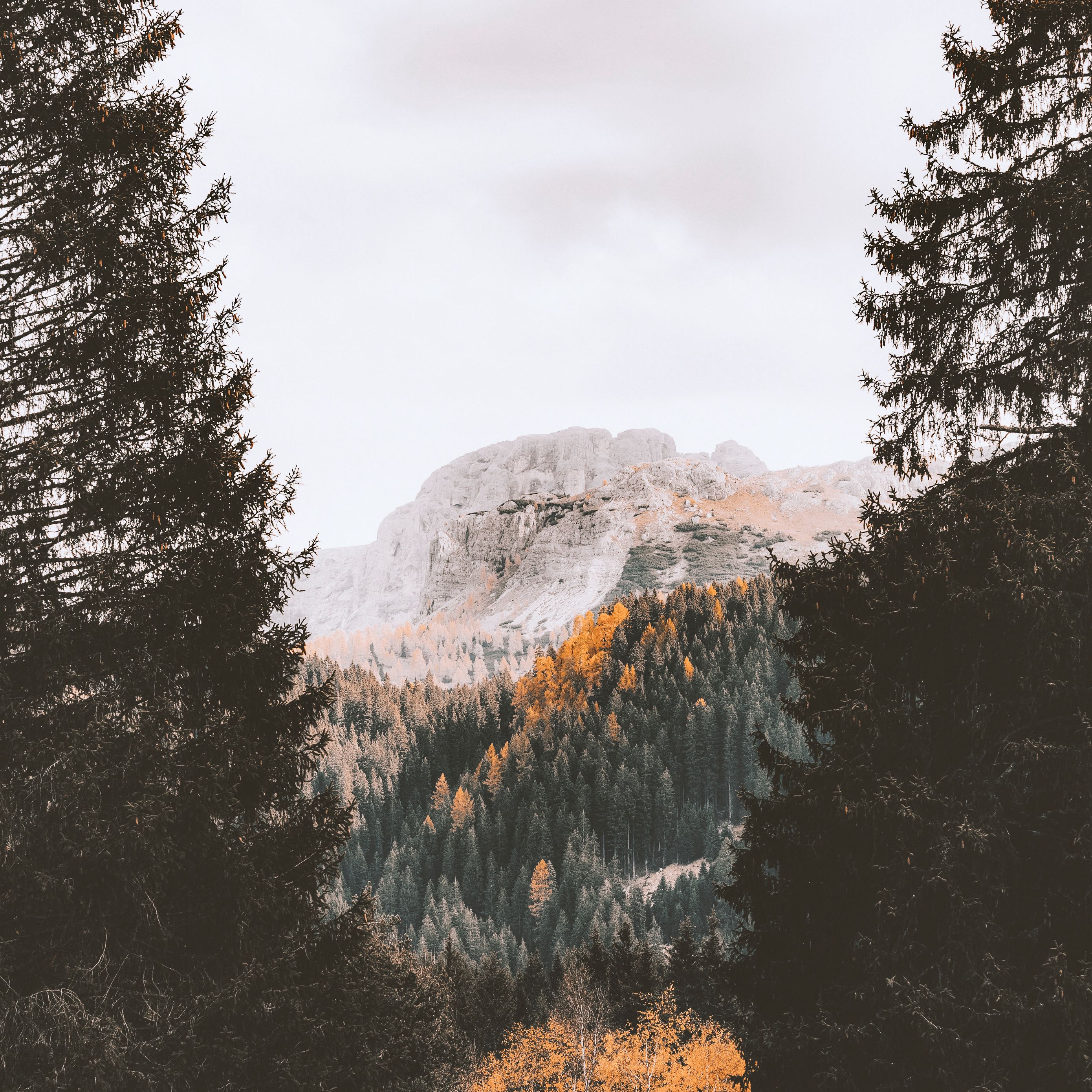 Эстетика горы осенью