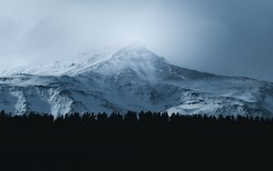 Превью обои гора, лес, туман, вершина, облака, пейзаж