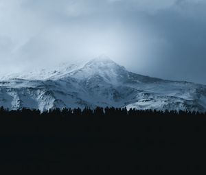 Превью обои гора, лес, туман, вершина, облака, пейзаж