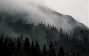 Превью обои гора, лес, туман, природа, пейзаж