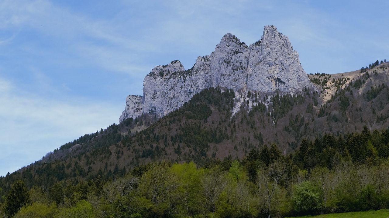 Горе луковое картинки