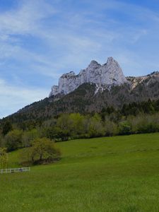 Превью обои гора, луг, деревья, зелень, пейзаж