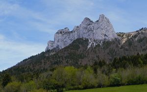 Превью обои гора, луг, деревья, зелень, пейзаж