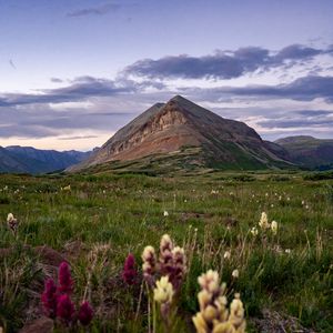 Превью обои гора, лужайка, цветы, трава, пейзаж