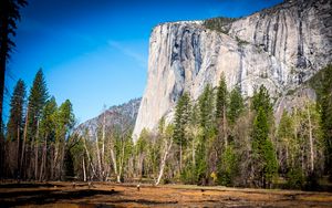 Превью обои гора, поле, деревья, природа, солнце