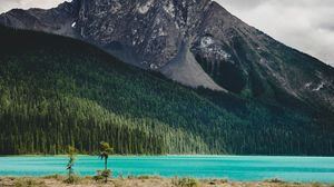 Превью обои гора, река, пейзаж, деревья, лес