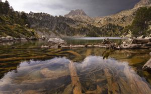 Превью обои гора, река, ветки, дно