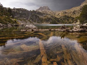 Превью обои гора, река, ветки, дно