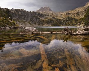 Превью обои гора, река, ветки, дно
