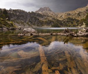 Превью обои гора, река, ветки, дно