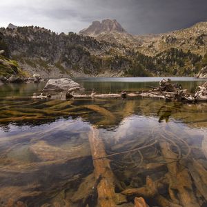 Превью обои гора, река, ветки, дно