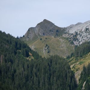 Превью обои гора, рельеф, деревья, лес