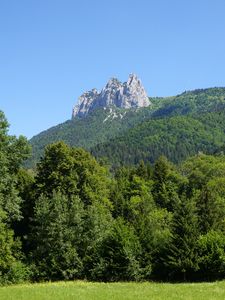 Превью обои гора, скала, деревья, лес