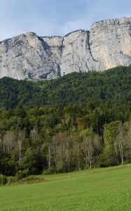 Превью обои гора, скала, деревья, лужайка, склон