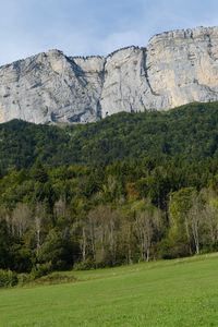 Превью обои гора, скала, деревья, лужайка, склон
