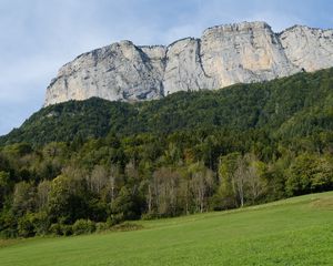 Превью обои гора, скала, деревья, лужайка, склон