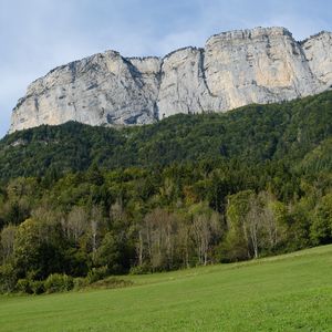 Превью обои гора, скала, деревья, лужайка, склон