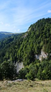 Превью обои гора, скала, деревья, трава, пейзаж, зеленый