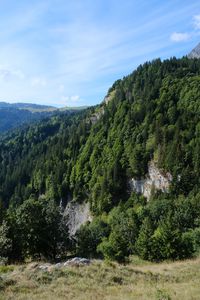 Превью обои гора, скала, деревья, трава, пейзаж, зеленый