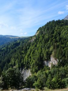 Превью обои гора, скала, деревья, трава, пейзаж, зеленый