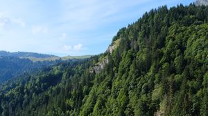 Превью обои гора, скала, деревья, трава, пейзаж, зеленый