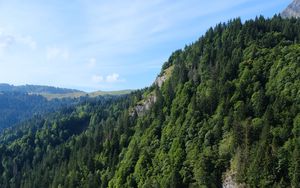 Превью обои гора, скала, деревья, трава, пейзаж, зеленый