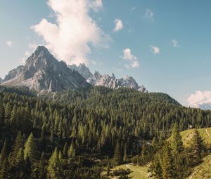 Превью обои гора, скала, деревья, лес, пейзаж