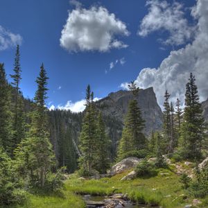 Превью обои гора, скала, река, ель, деревья, трава